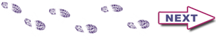 Footprints