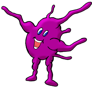 PD Platelet