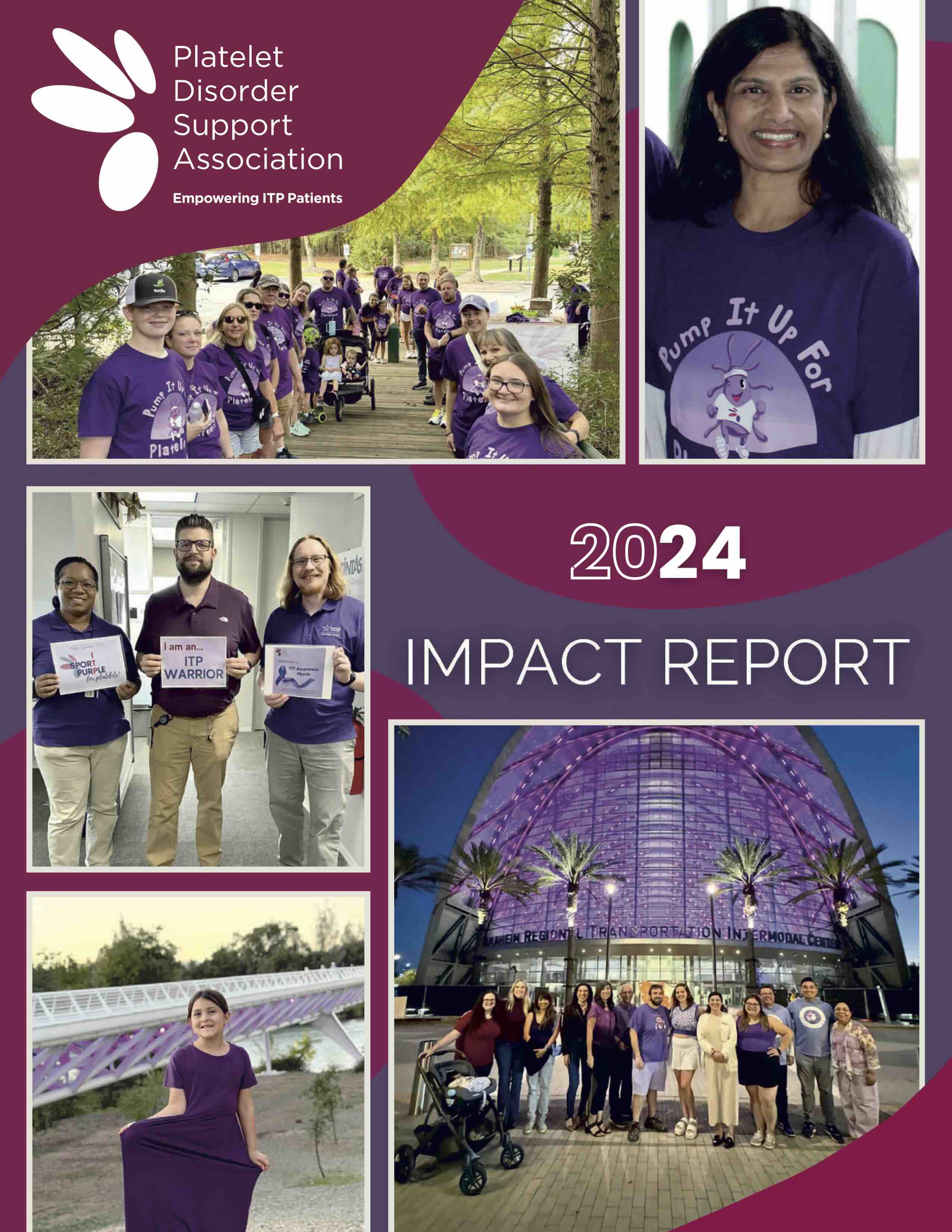 PDSA Impact Report 2024